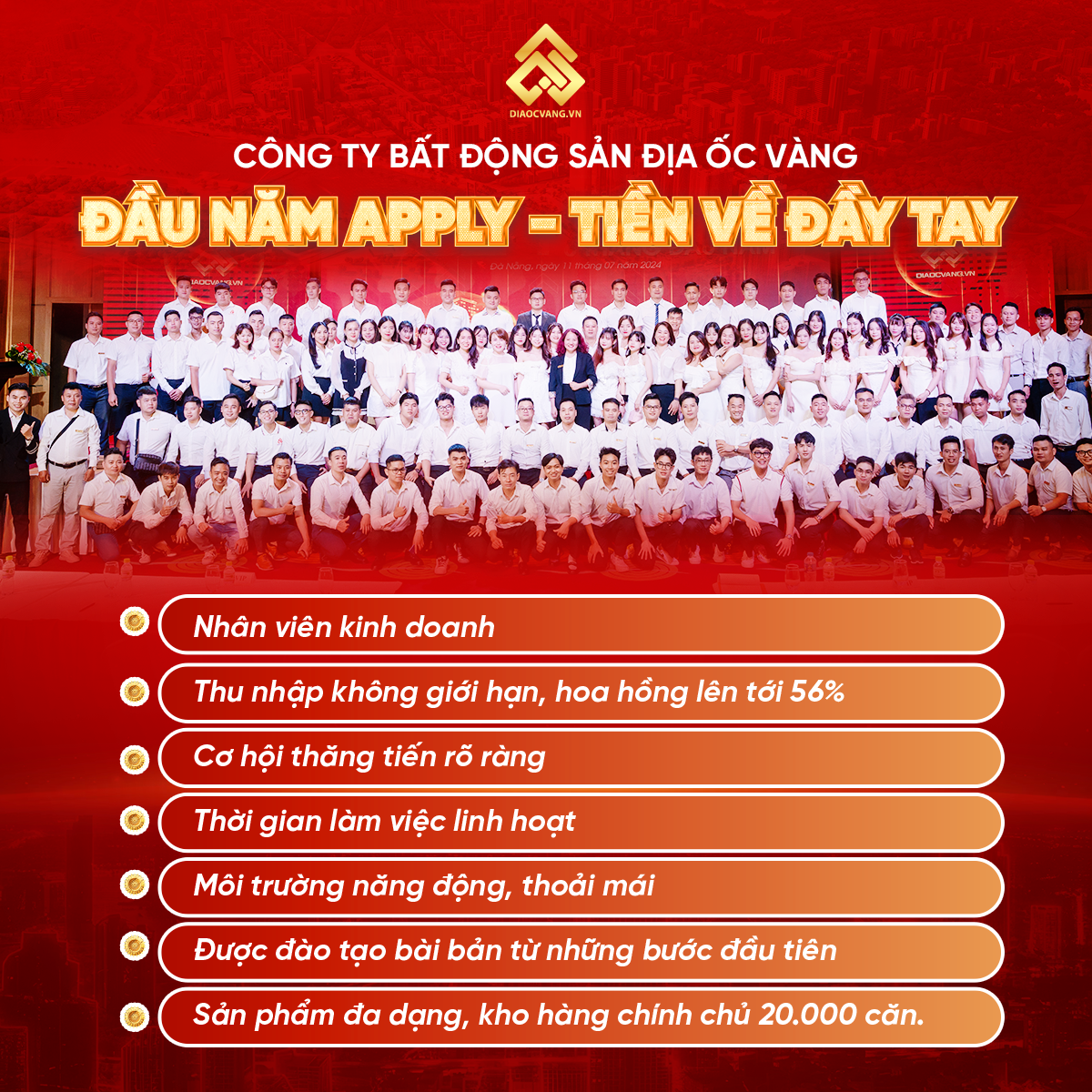 lĩnh vực hoạt động